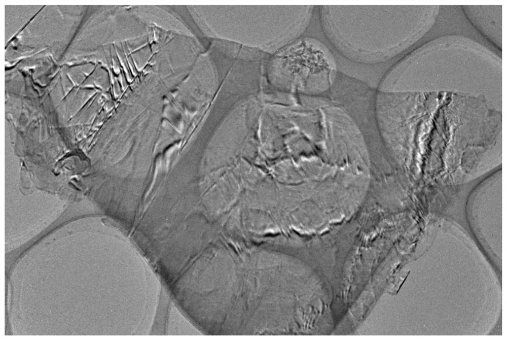 A kind of black phosphorus nanosheet and its preparation method and application