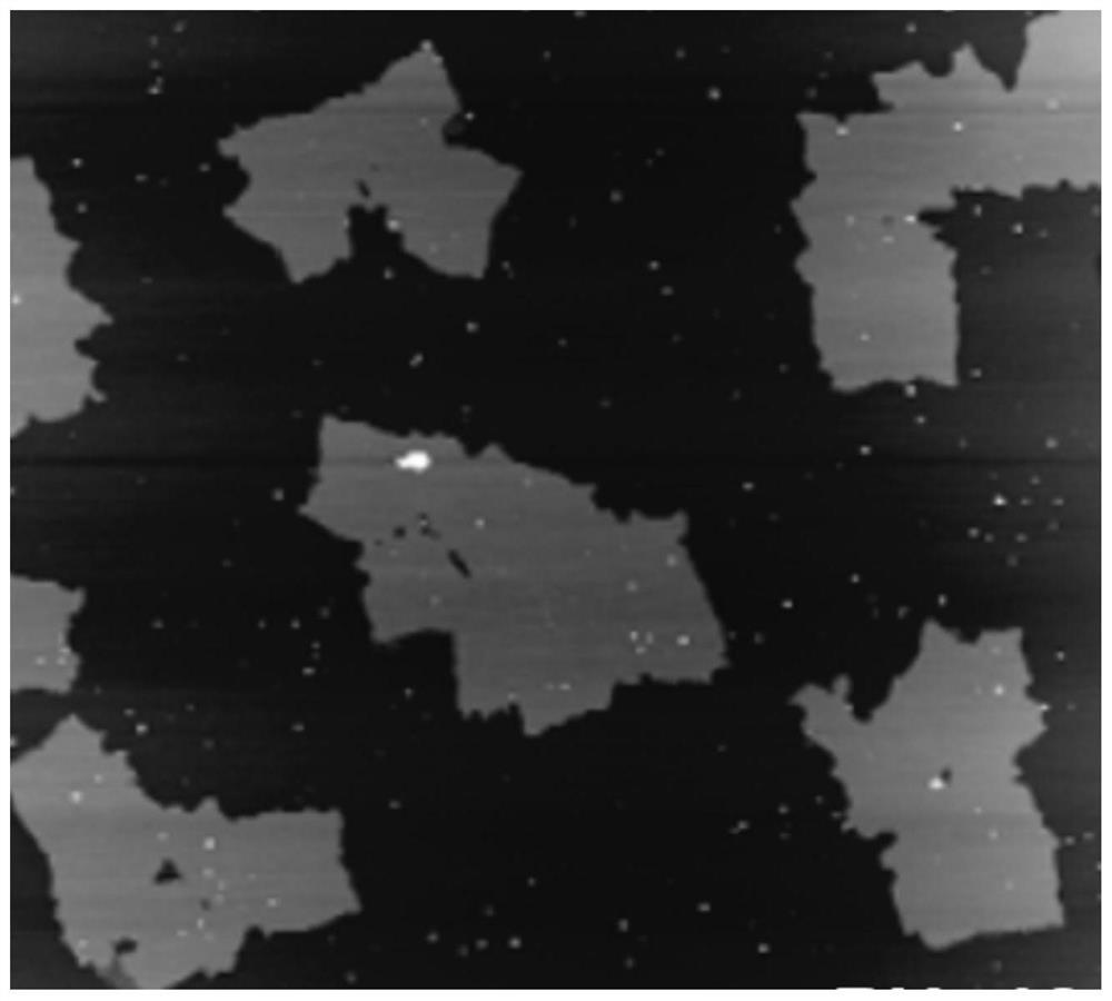 A kind of black phosphorus nanosheet and its preparation method and application