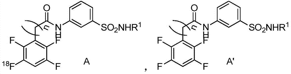 Sulfa compounds, intermediates, preparation and application targeting carbonic anhydrase ⅸ