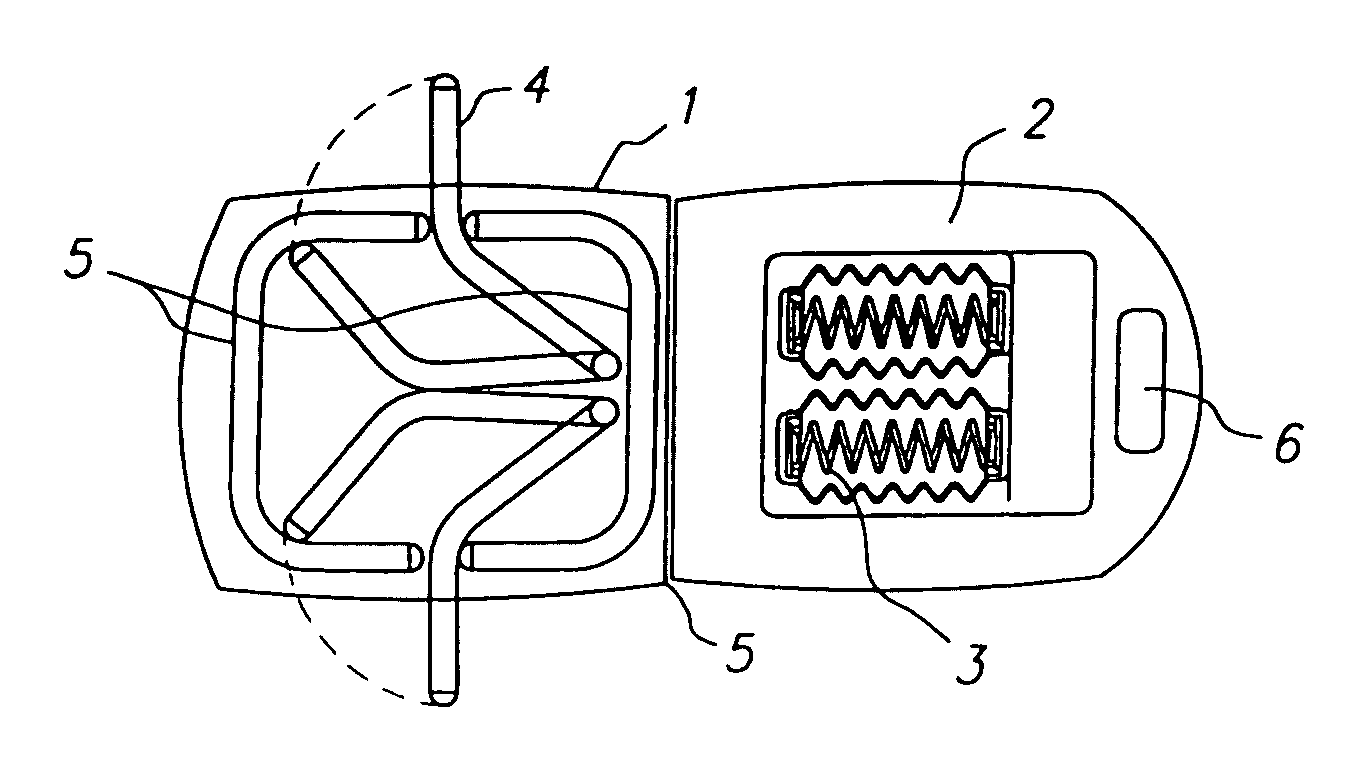 Apparatus and methods for abdominal muscle and gluteal muscle exercise