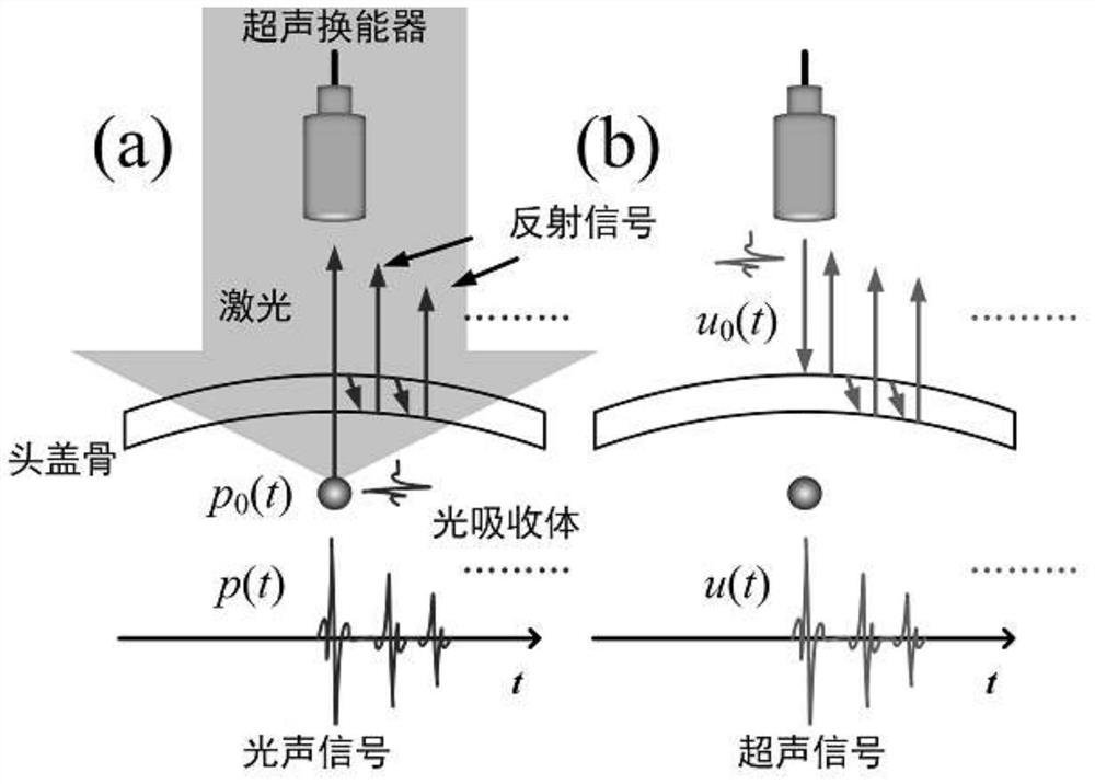 An Ultrasound-Guided Imaging Method for Photoacoustic Microscopy with Low Reflection Artifacts