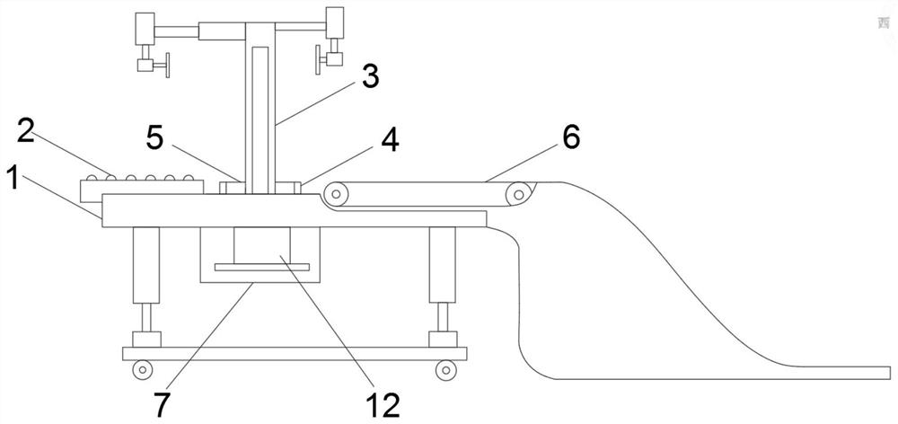 Packing device for carton