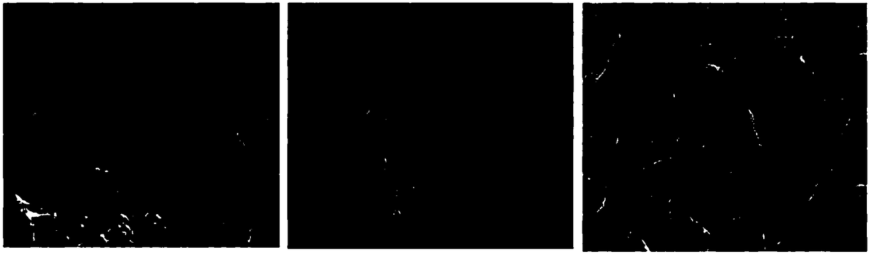 Potato nutrition recombinant rice recipe and preparation method thereof