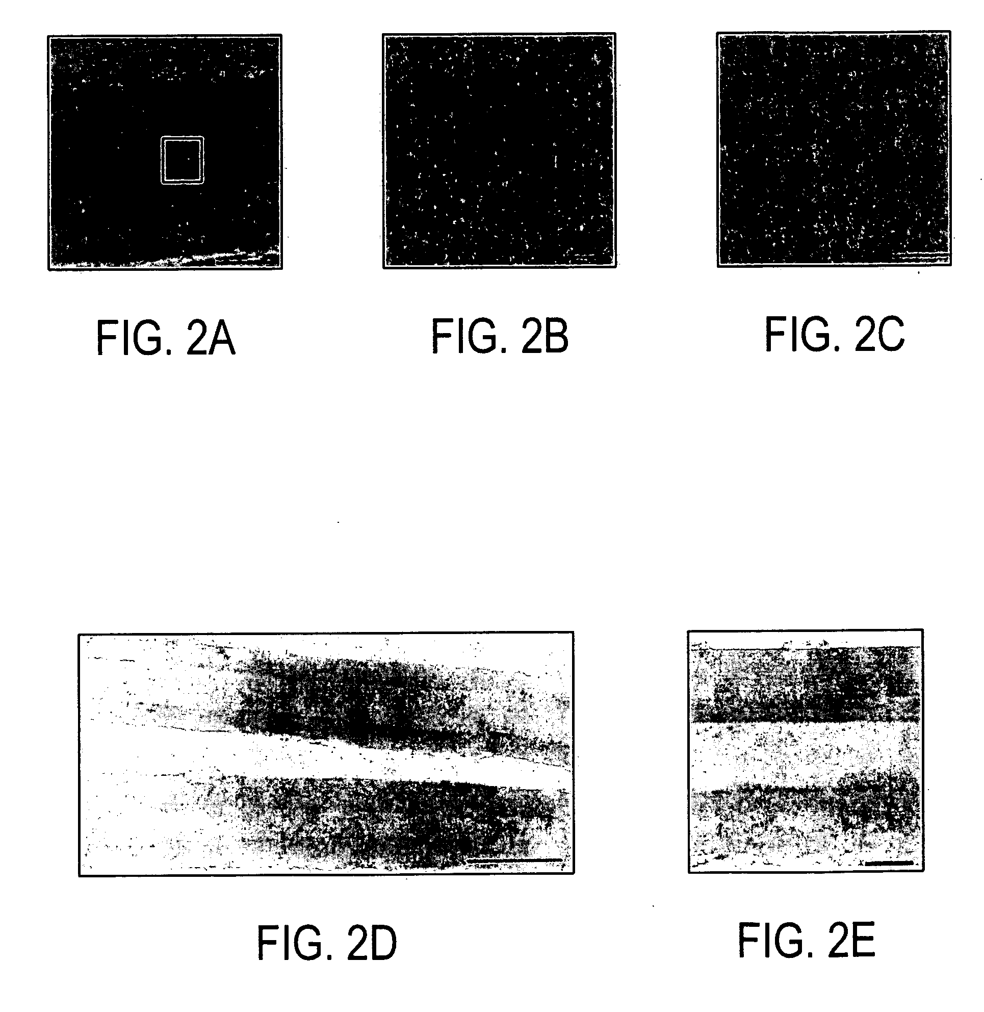 Carbon nanotube filter