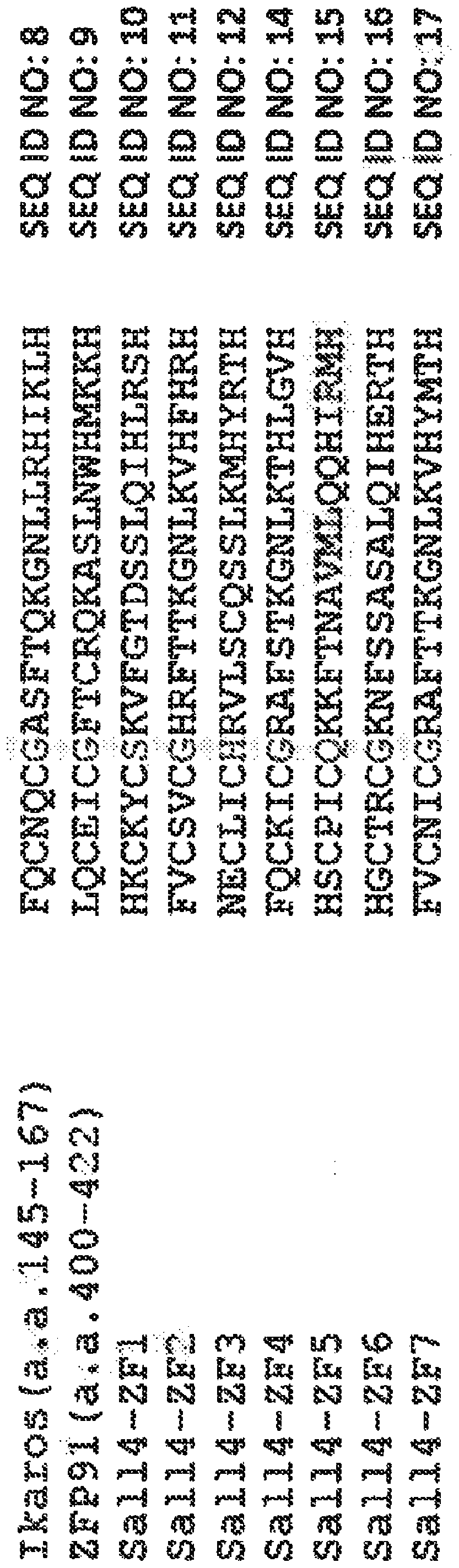 Methods for screening cereblon modifying compounds