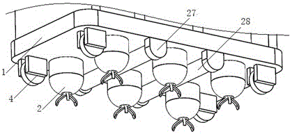 An agricultural weeding device