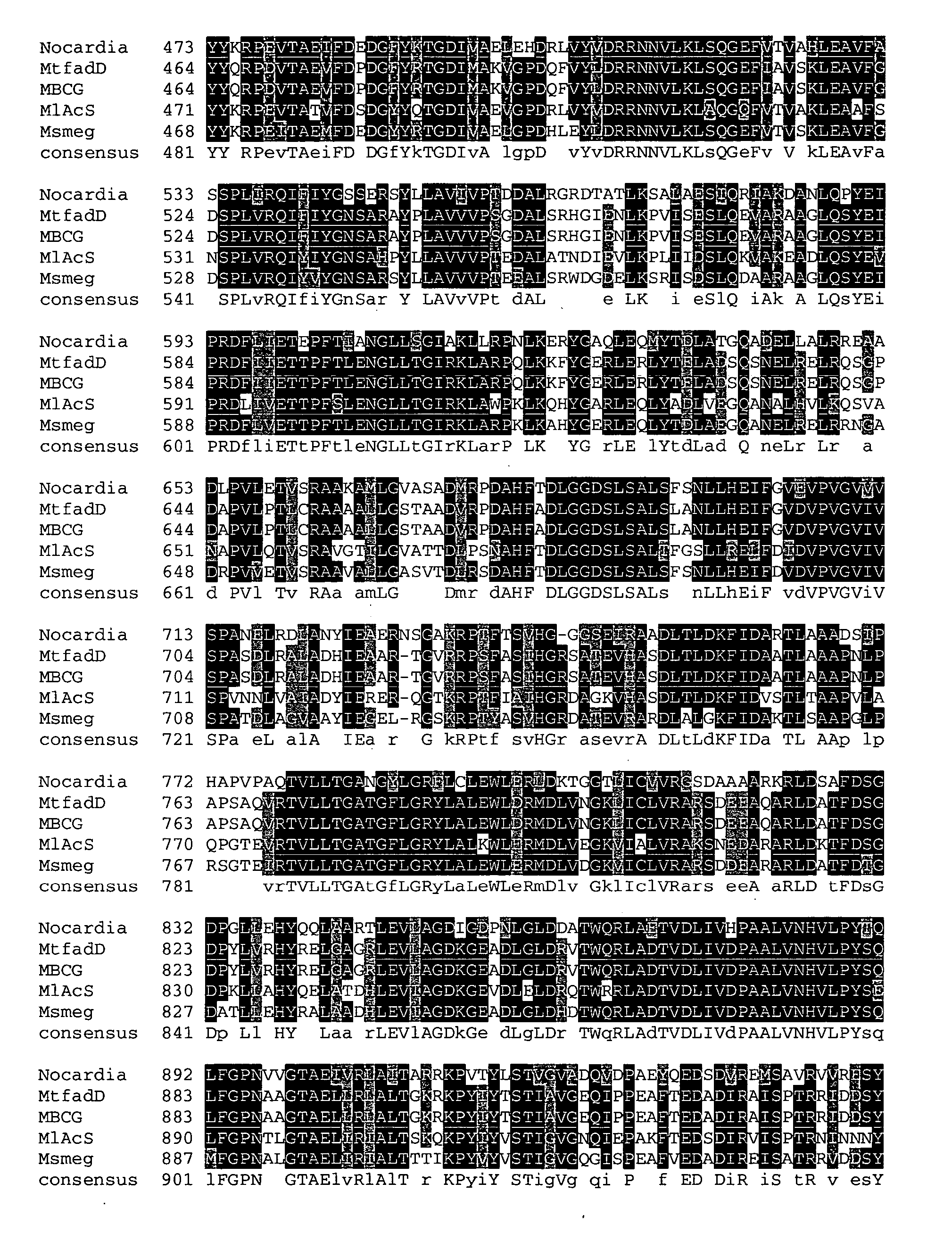 Carboxylic acid reductase polypeptide, nucleotide sequence encoding same and methods of use