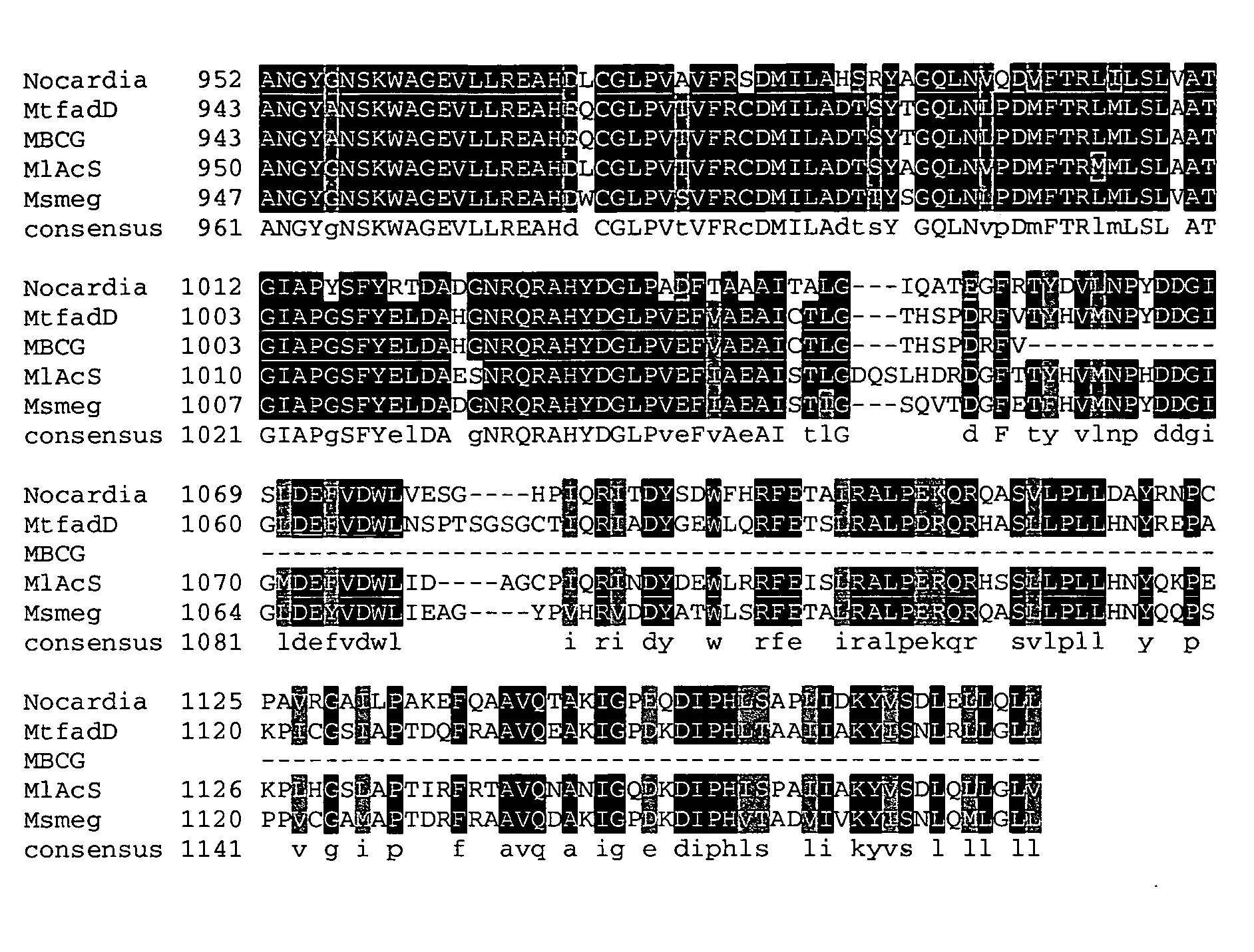 Carboxylic acid reductase polypeptide, nucleotide sequence encoding same and methods of use