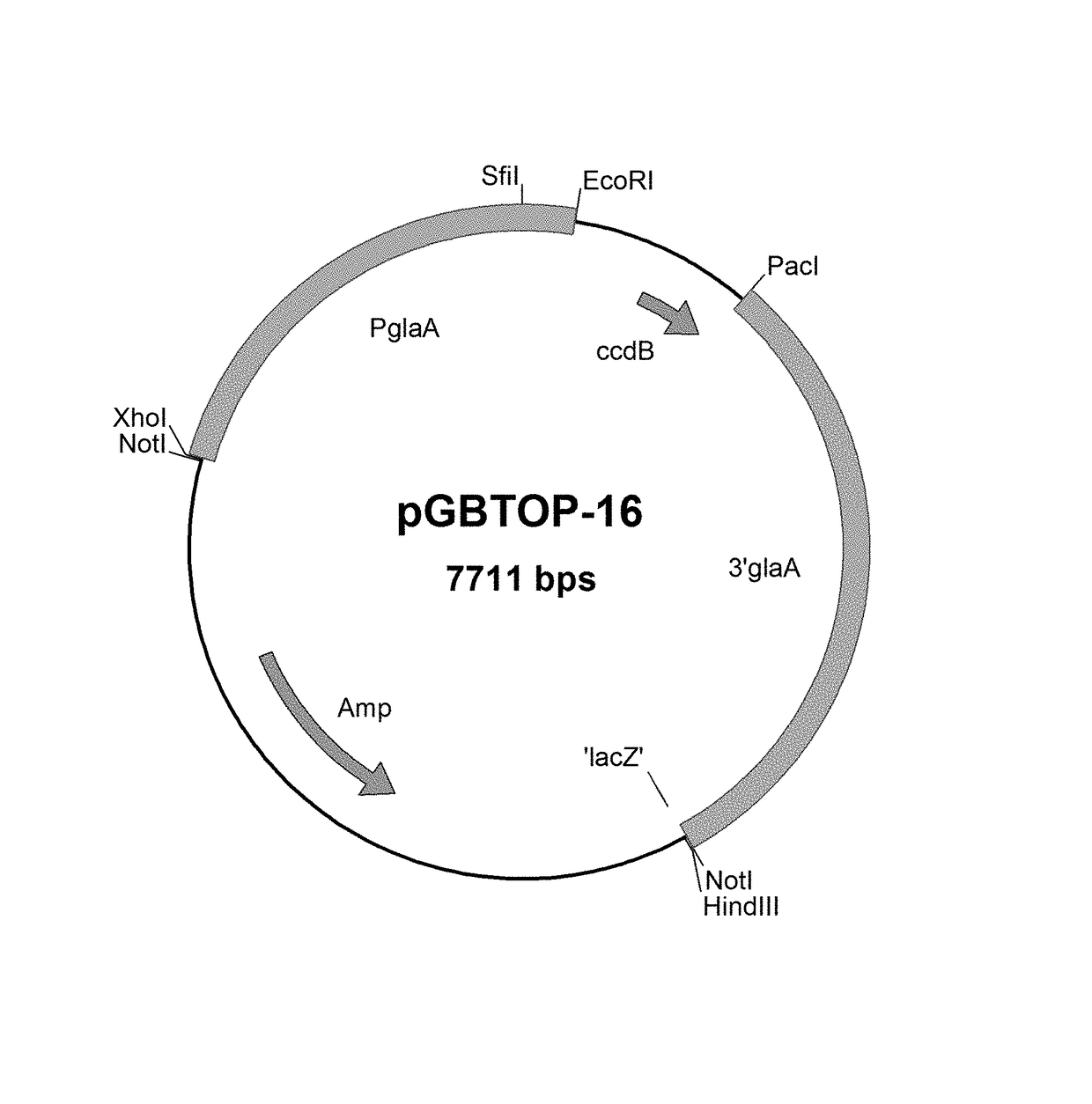 Proline-specific endoprotease and use thereof