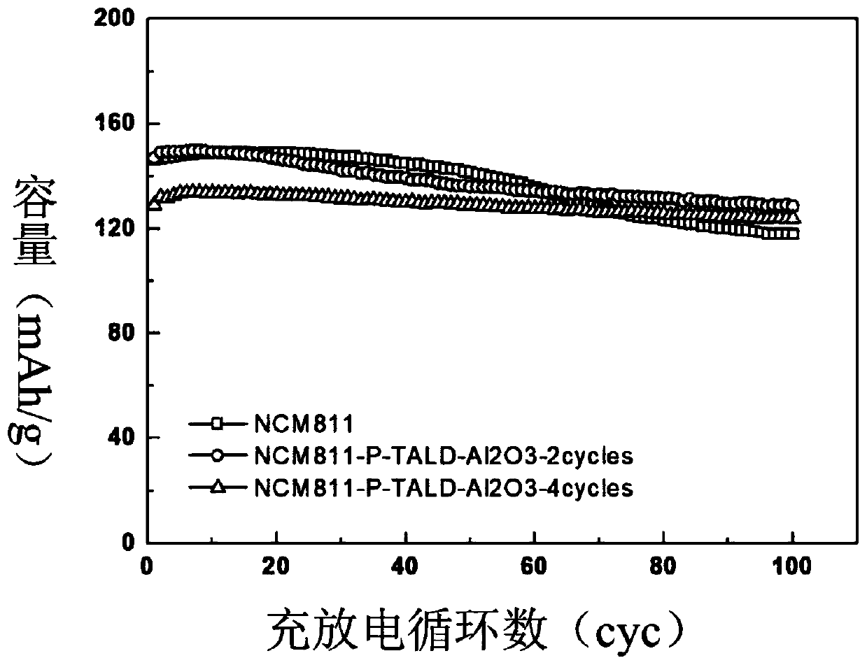 Lithium ion battery anode and preparation method thereof