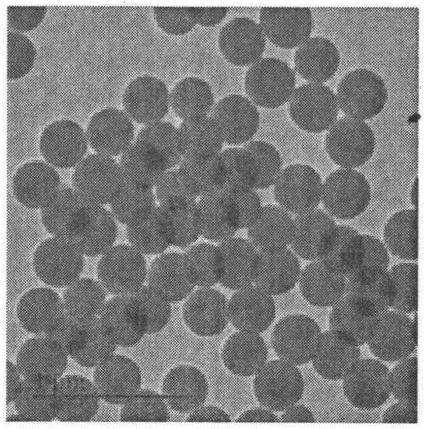 A preparation method of silica@noble metal nanocomposite microspheres