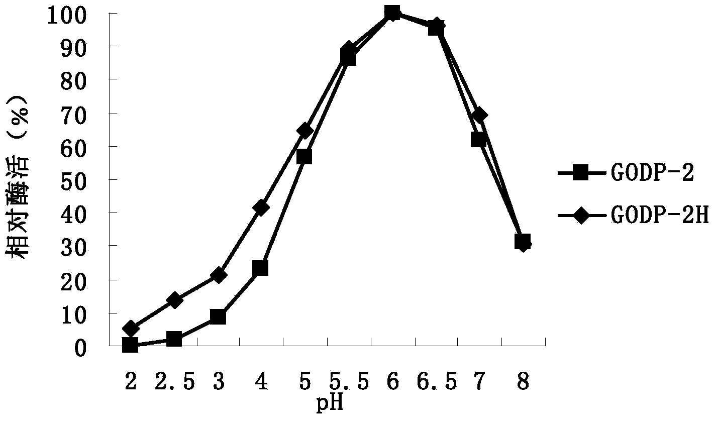 Glucose oxidase mutant and application thereof