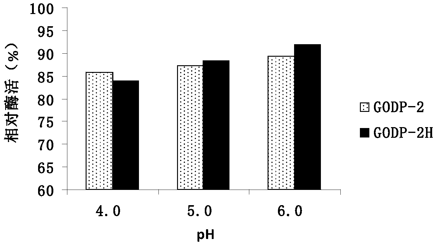 Glucose oxidase mutant and application thereof