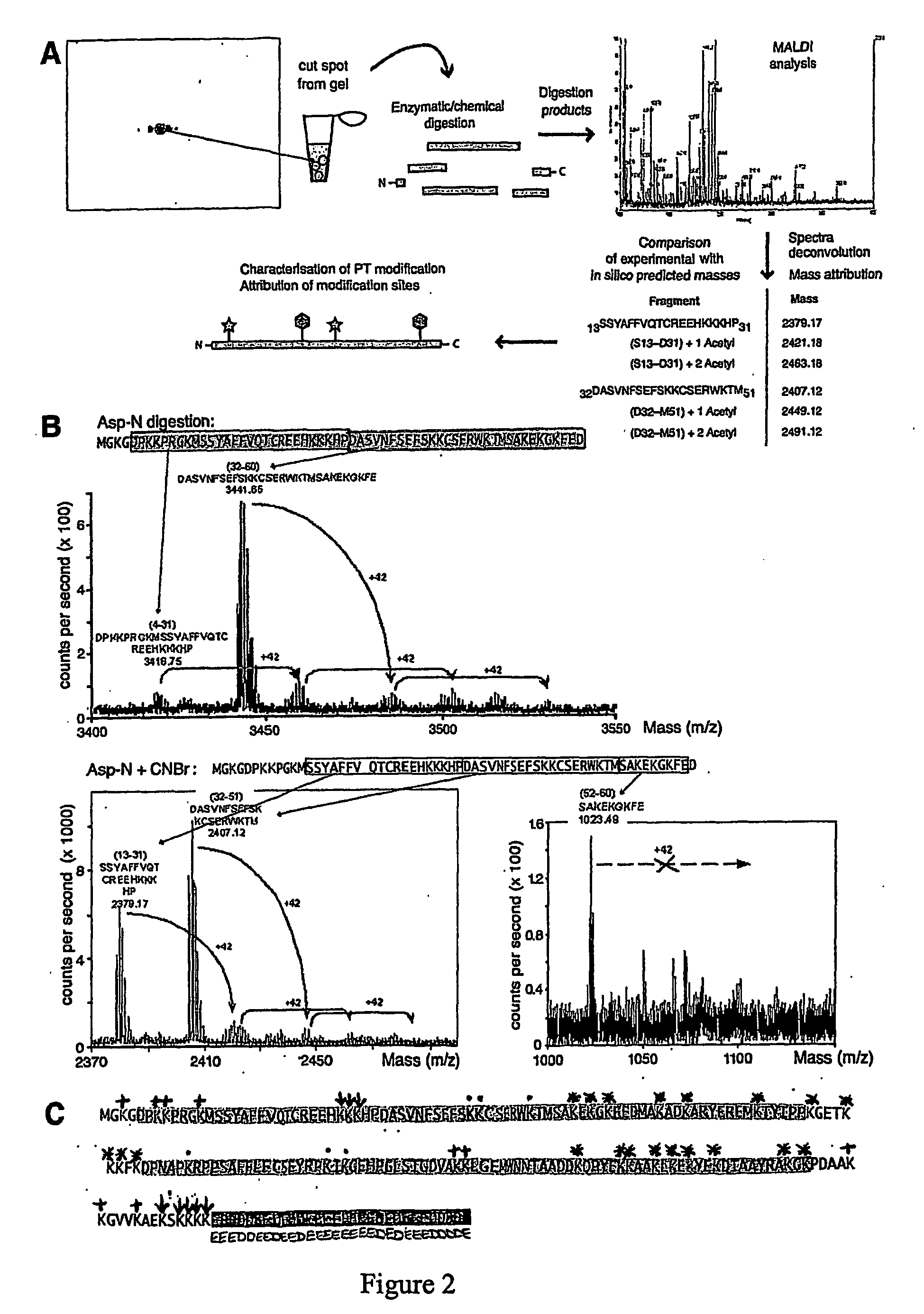 Acetylated protein