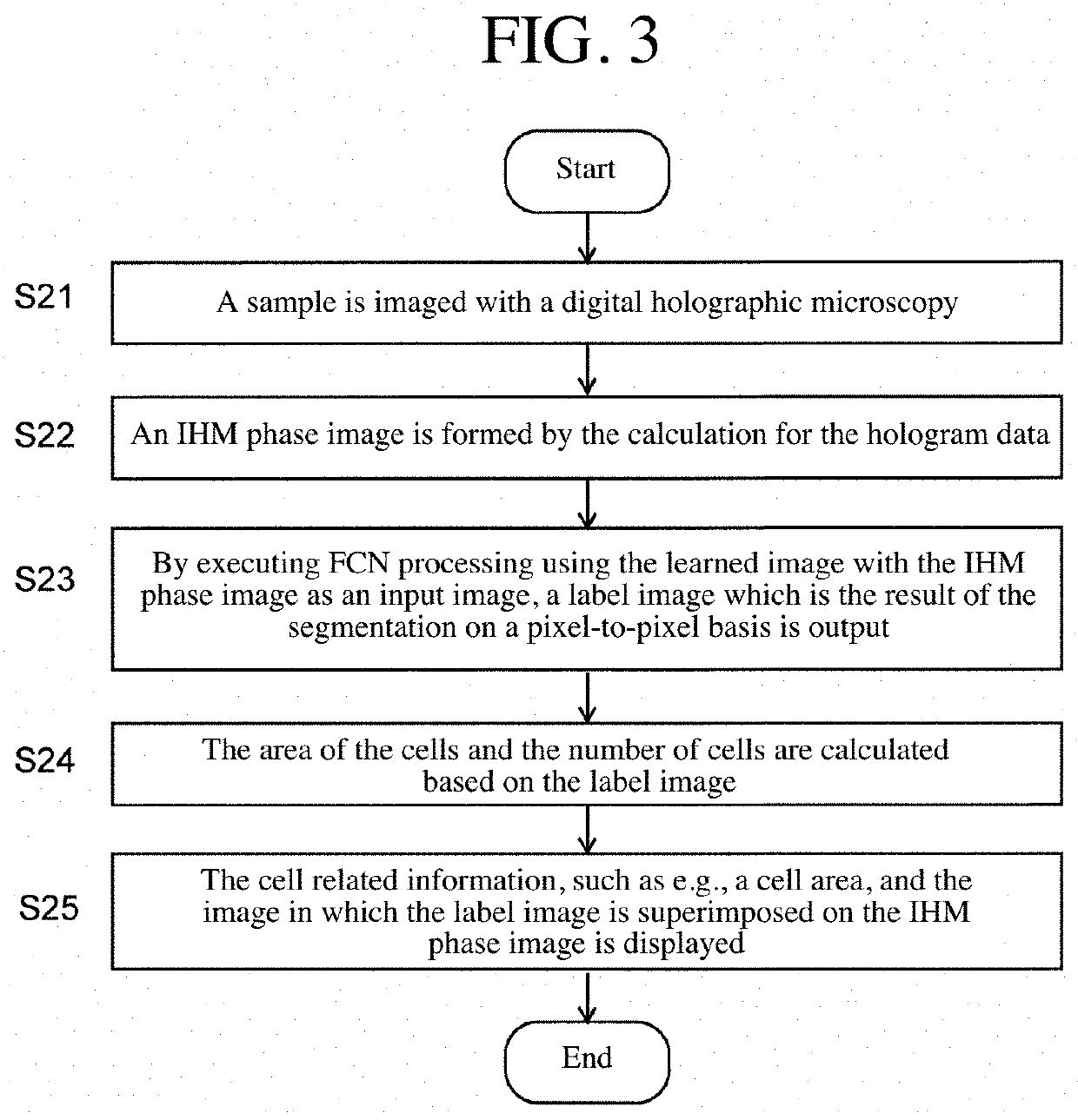 Cellular image analysis method, cellular image analysis device, and learning model creation method