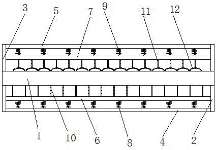 Planting method for interplanting rhizoma bletillae in red oak forest