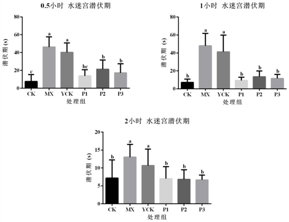 Blueberry anthocyanin hangover-alleviating beverage and preparation method thereof