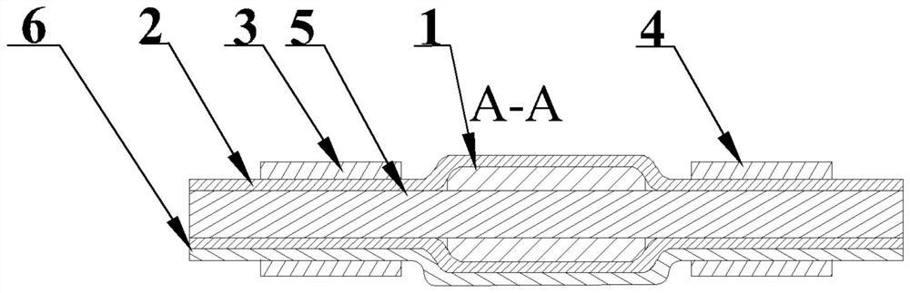 Buckle structure and method for simulating tail suspension of weightless rats