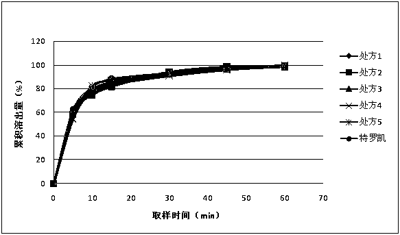 A kind of erlotinib hydrochloride pharmaceutical composition without surfactant