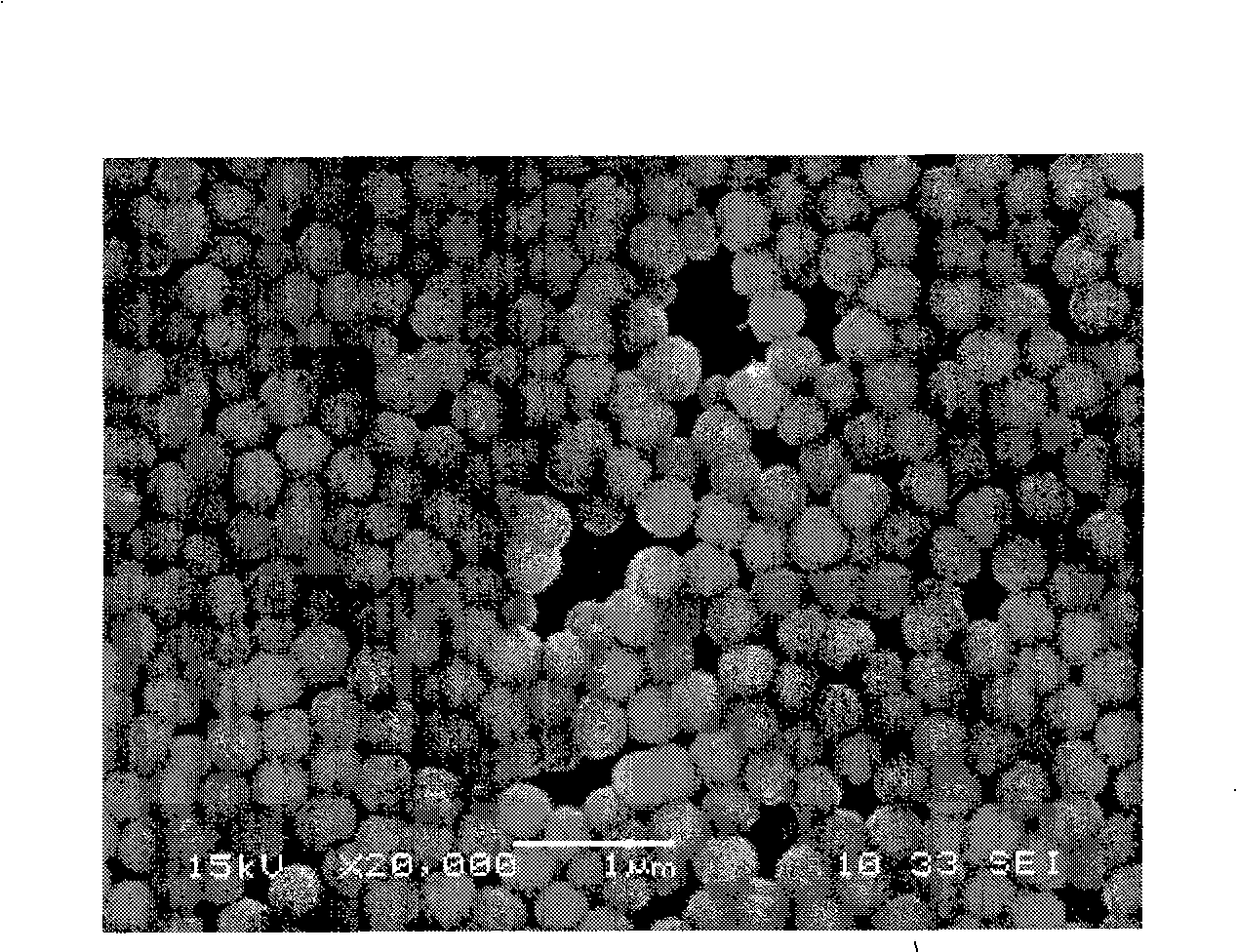 Synthetic method of hydrophilic monodisperse carboxyl superparamagnetic microsphere