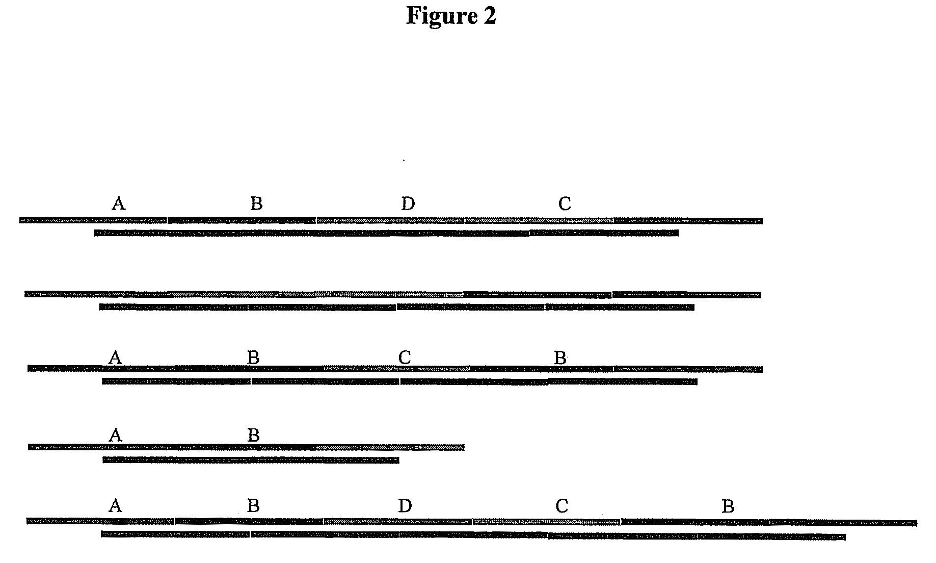 Methods for generating a distribution of optimal solutions to nondeterministic polynomial optimization problems