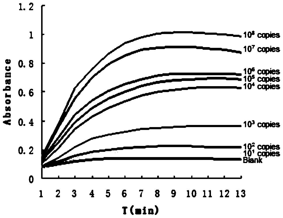 A detection method for hepatitis B virus based on dnazyme probe