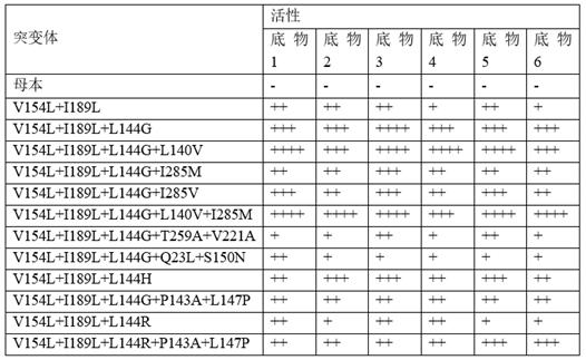 Lipase mutant and application thereof