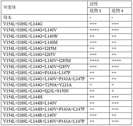 Lipase mutant and application thereof