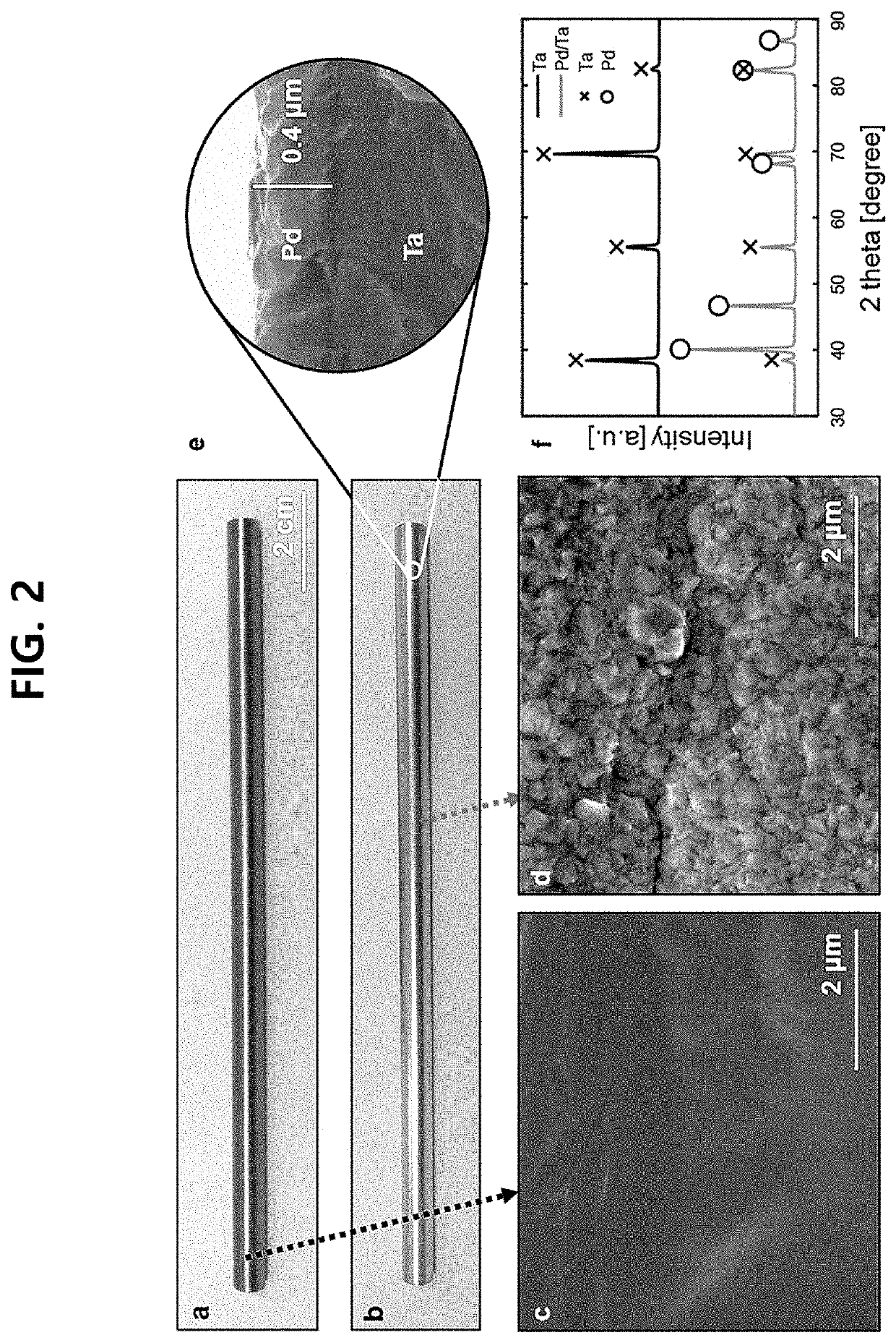 Ammonia membrane reactor comprising a composite membrane