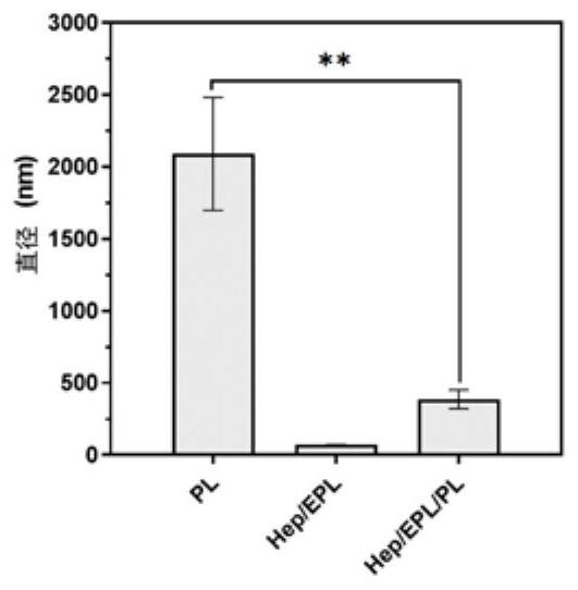 Injection-type platelet lysate-loaded temperature-sensitive hydrogel-high-dispersion nanoparticle system and application thereof