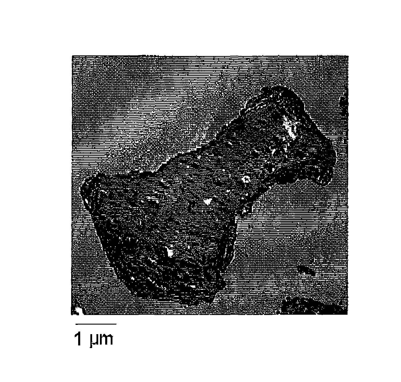 Toner, developer, process cartridge, image forming method, and image forming apparatus