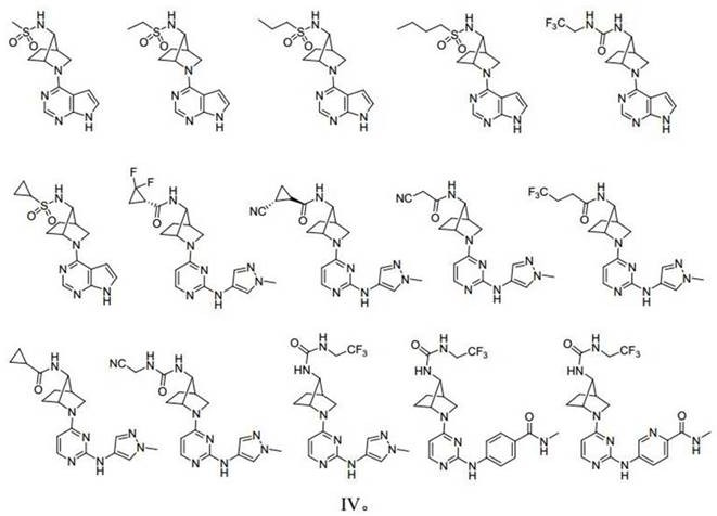 (1r,4r,7r)-7-amino-2-azabicyclo[2,2,1]heptane derivative and preparation method