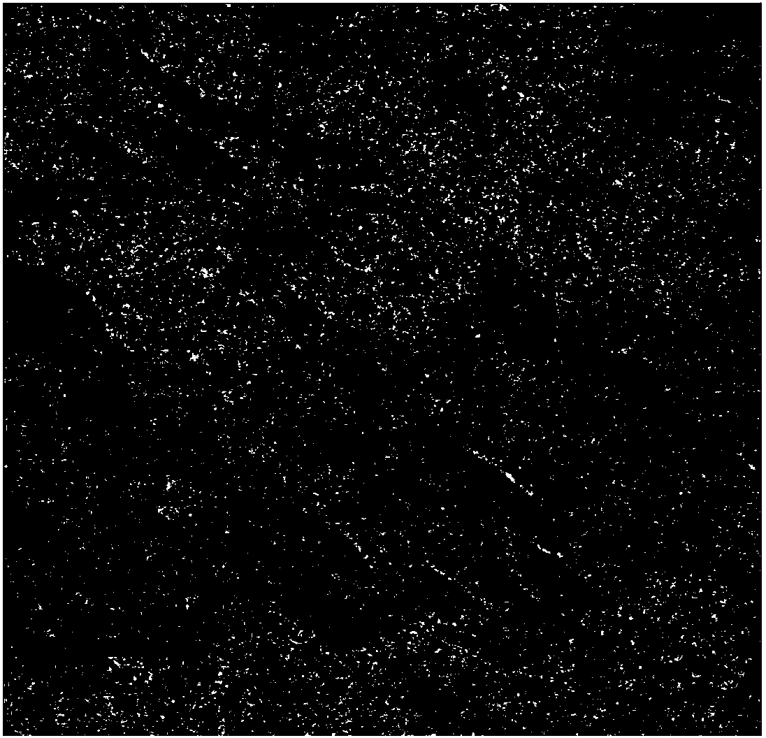 Preparation method of preprocessed clay/rubber nano composite material