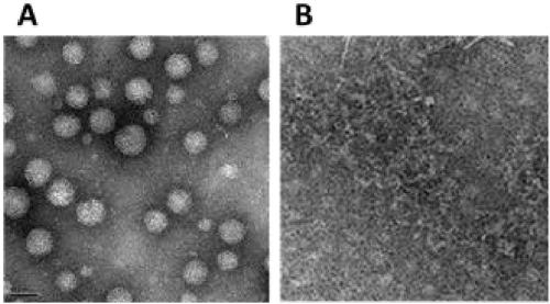 Acid-responsive polycationic micelle nanoparticles and preparation method and application thereof