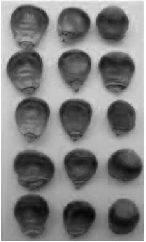 Monte carlo characteristics dimension reduction method for small-sample hyperspectral image