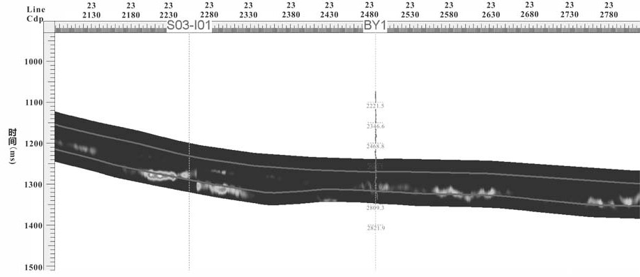 Shale gas identification method based on fluid inversion of pre-stack precise equation of fastest step-down