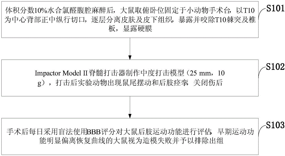 Medicine that cures muscle atrophy after spinal cord injury and its application method