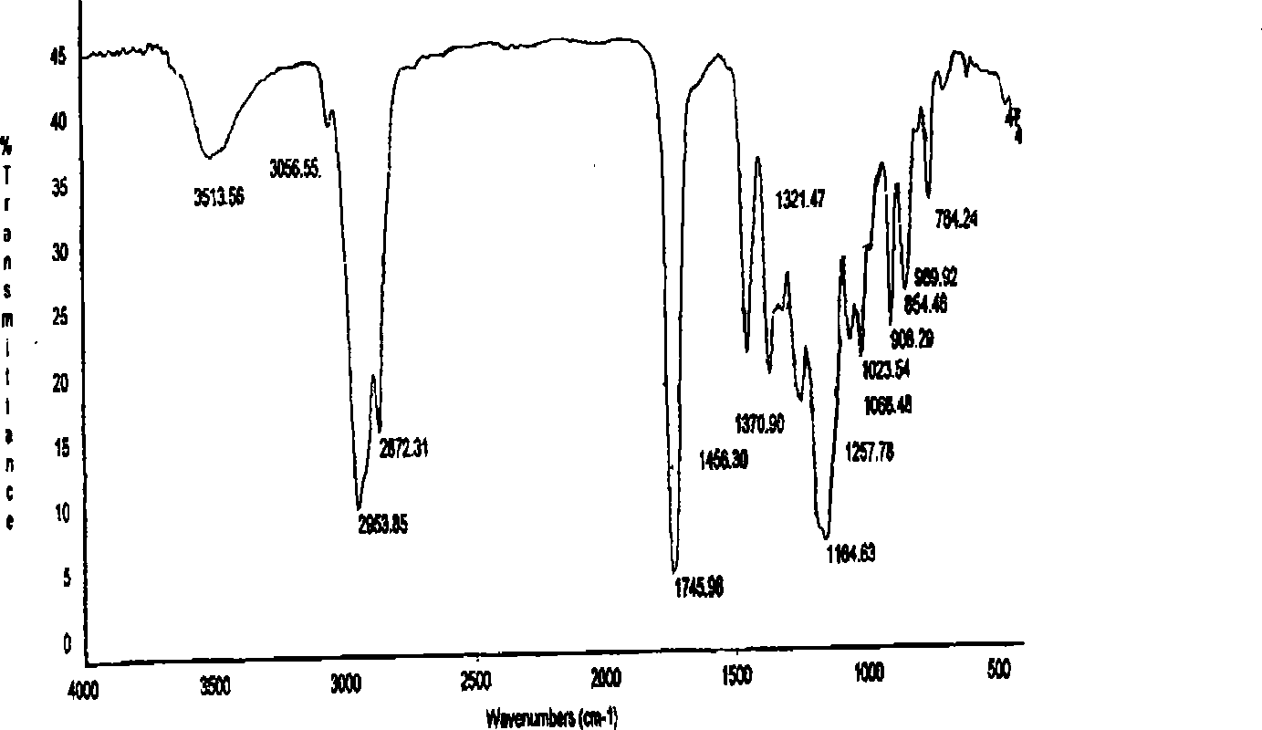 Method of preparing hydrogenated terpinene maleic anhydride glycidyl ester type epoxy resin