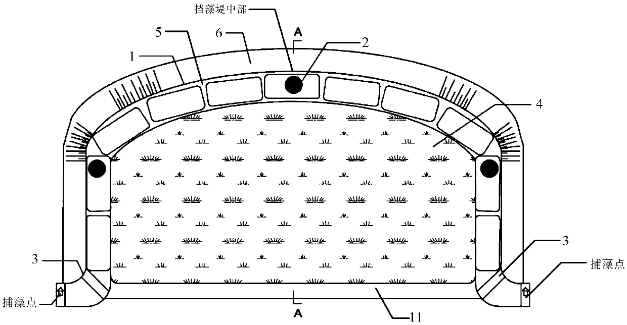 Algae-collecting algae-blocking and algae-guiding surrounding separation system