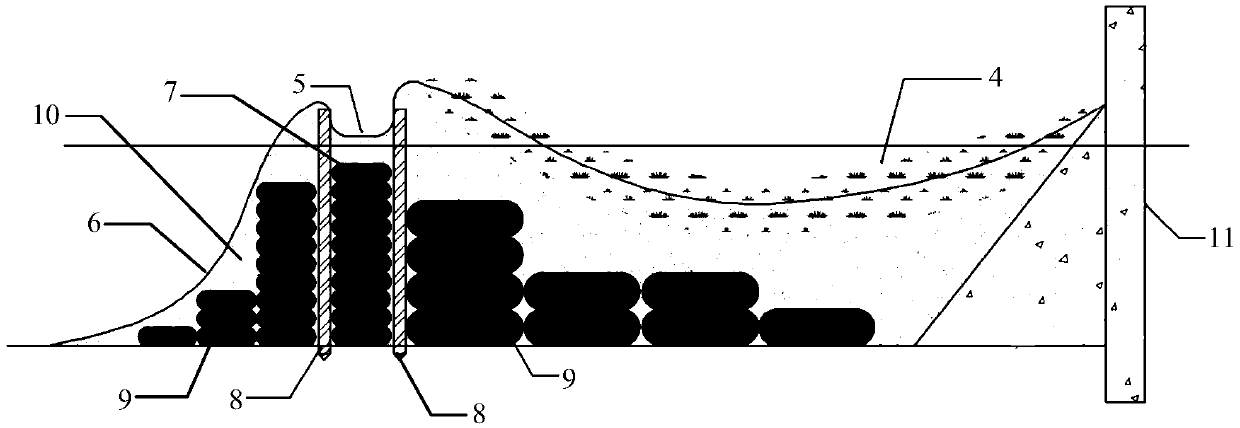 Algae-collecting algae-blocking and algae-guiding surrounding separation system