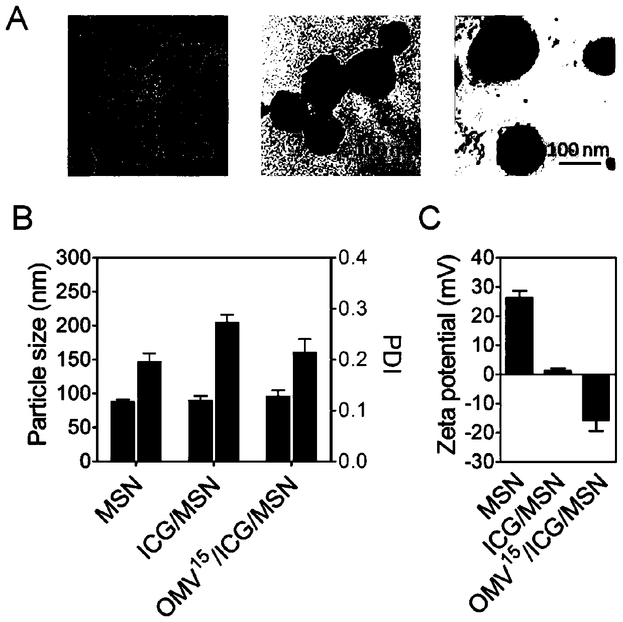 Hybrid nanovaccine with photothermal response and preparation method thereof