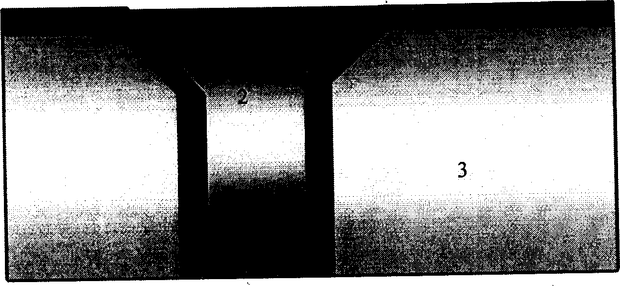 Process for chemical vapor phase depositing titaniam nitride containing silicon using titanium containing organic metal material