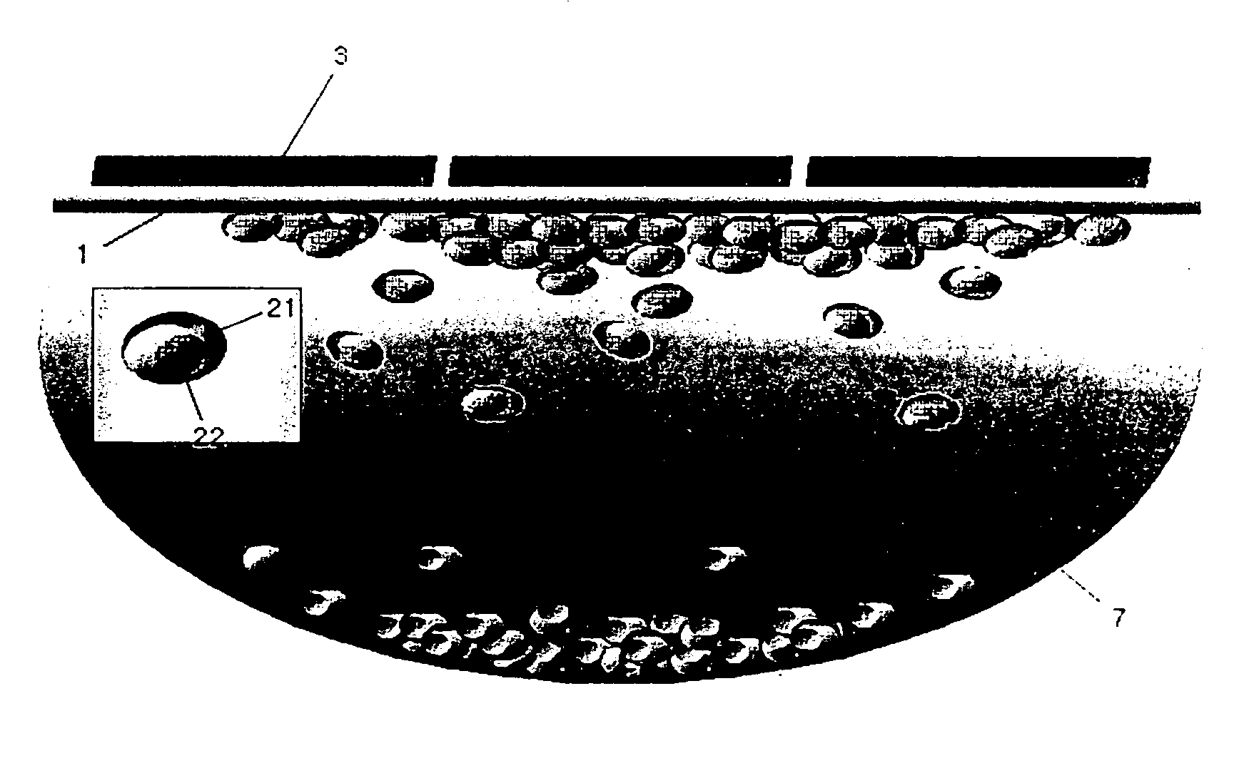 Methods and apparatuses of separating cells using magnets and droplet type cell suspension