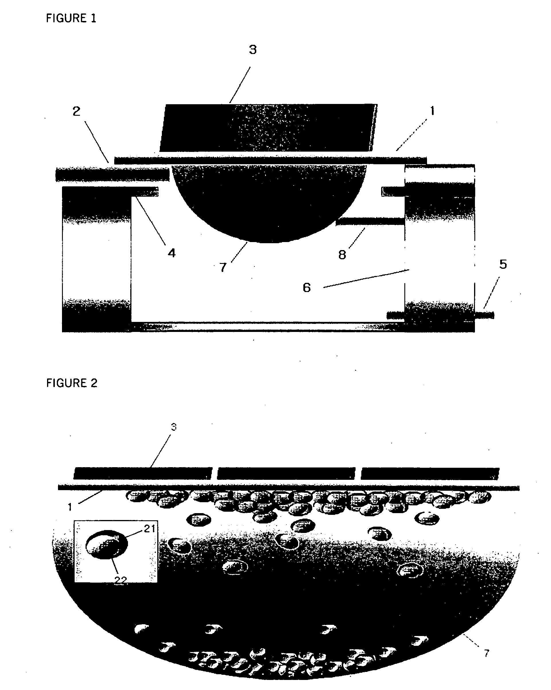 Methods and apparatuses of separating cells using magnets and droplet type cell suspension