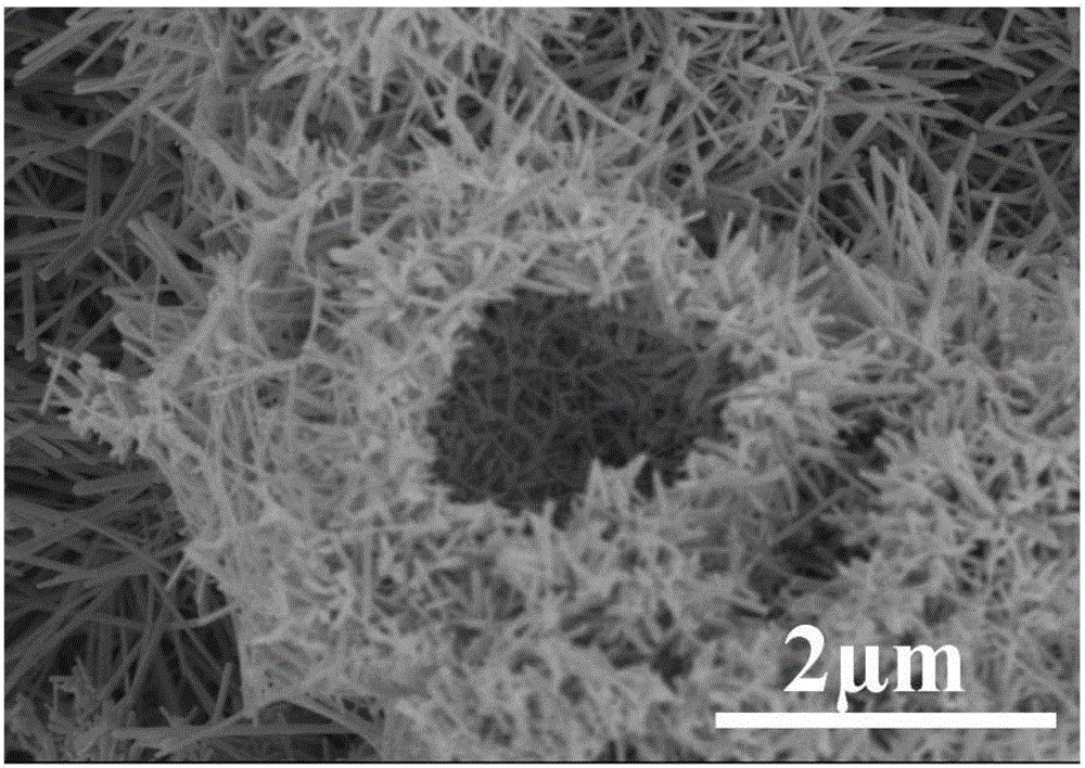 Preparation method of nest-like Sb2Se3 electrode material for sodium ion battery negative electrode