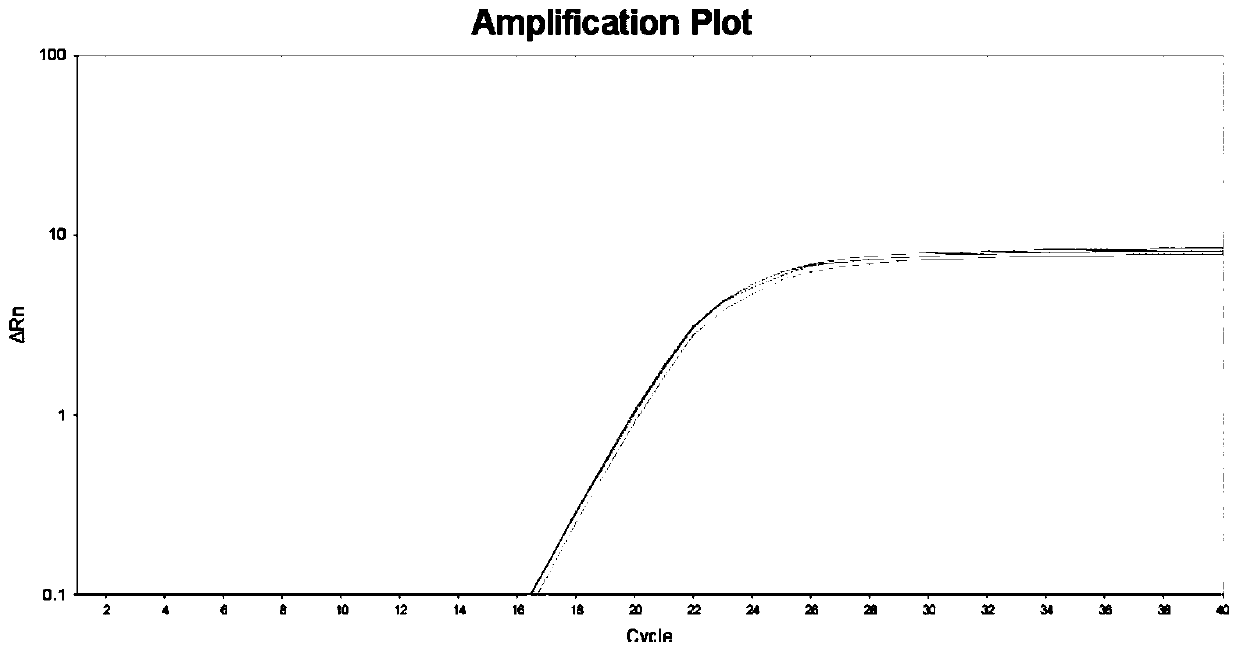 Kit for viral nucleic acid extraction and extraction method thereof