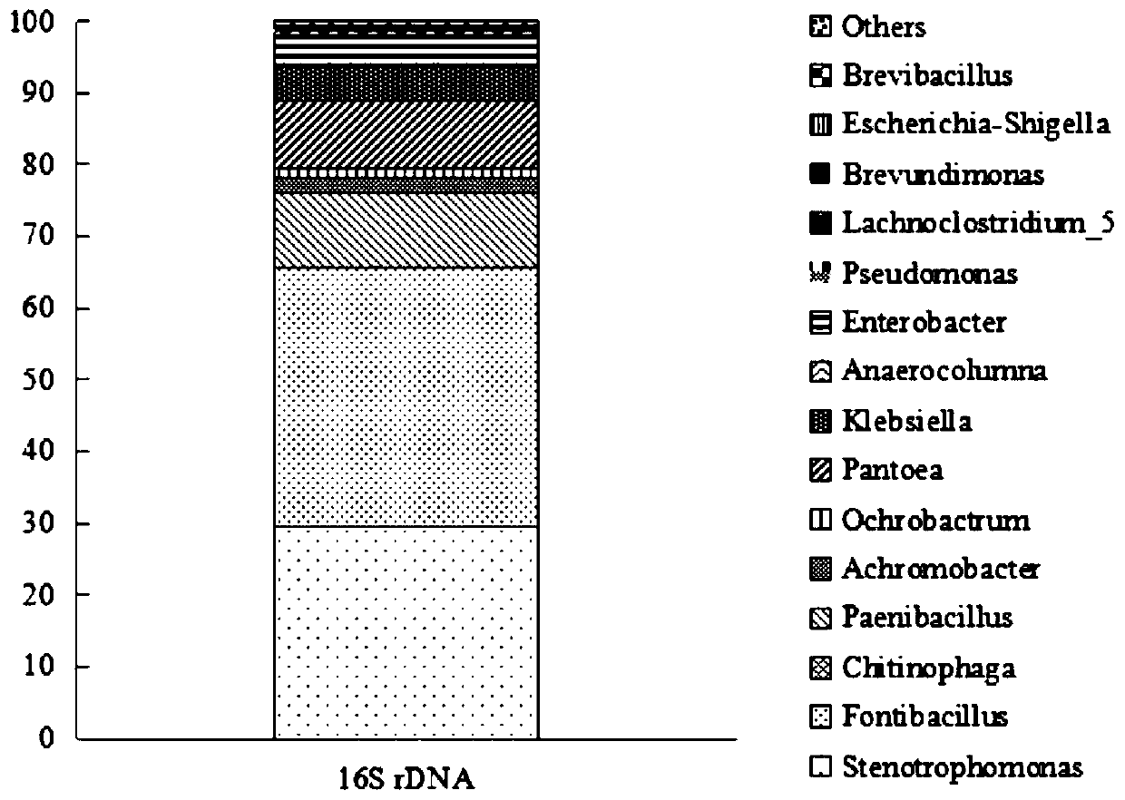 Cellulose degradation composite flora and application thereof in decomposing phellinusribis bran