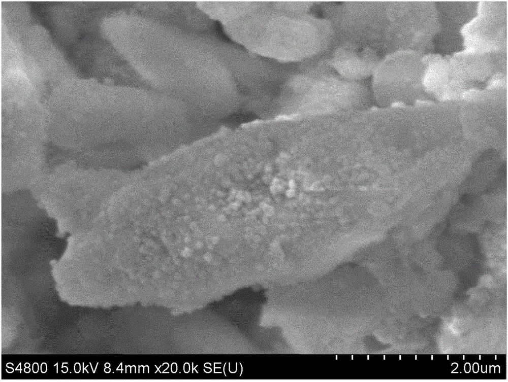 Method for preparing magnetic/core-shell molecularly imprinted adsorbent by miniemulsion polymerization