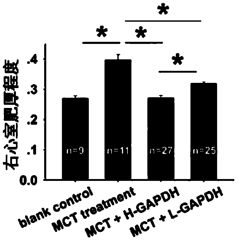 Method for authenticating activity of bone marrow mesenchymal stem cells