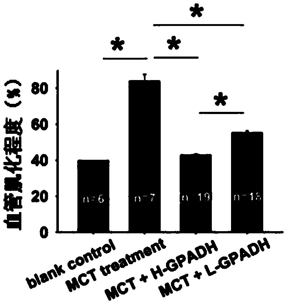 Method for authenticating activity of bone marrow mesenchymal stem cells